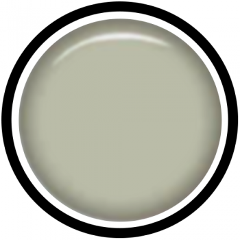 Nailart Colour Gel Light Grey Nr 63 5 ml